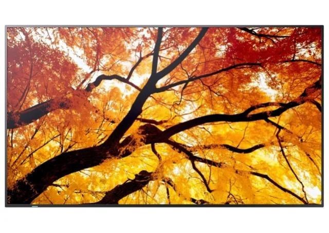 Sharp PN-M322 32" Large Display FHD