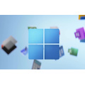 Microsoft Windows 11 Pro 64-bit - License - 1 License