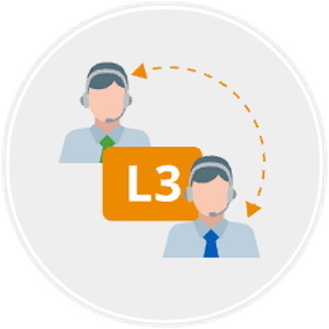 L3 Support and Consultancy (Per Critical Device/Instance)