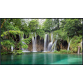 Panasonic Th-50Eq2w 50" 4K LCD Display - 18/7, Brightness (500-CD/M2), 4K Media Support, Portrait Mode, Intel SDM Ready