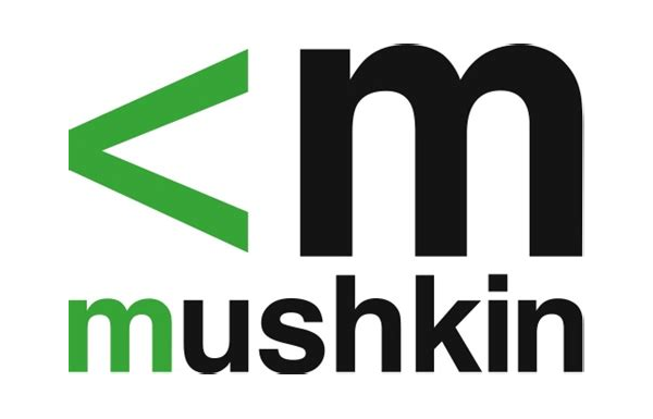 Mushkin Proline Memory Module 32 GB 1