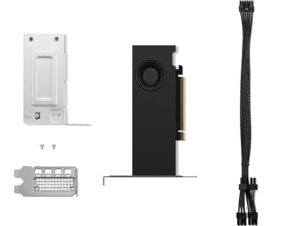 Lenovo NVIDIA RTX 2000 ada Graphic Card - 16 GB GDDR6