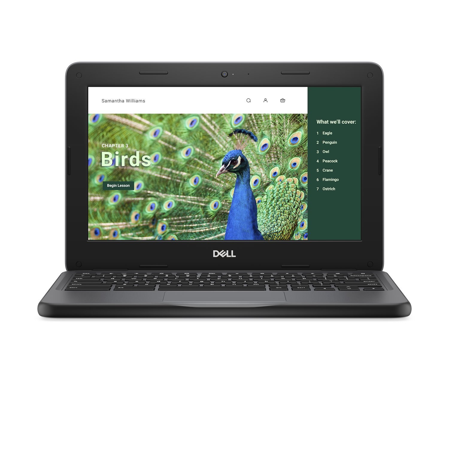 Dell Chromebook 3120 (2024) - Intel N-Series - N100 / Upp Till 3.4 GHz - Chrome Os - Uhd Graphics - 4 GB Ram - 64 GB Emmc - 11.6" TN Pekskärm 1366 X 768 (HD) - Wi-Fi 6 - Svart - BTS - Med 1 ÅRS Grundl