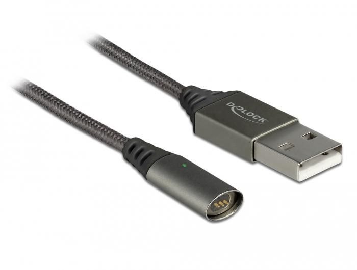 Delock Magnetic Usb Charging Cable
