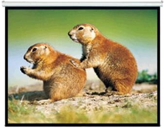 Brateck 150' Projector Screen, Manual Self Locking, Matte Finish. 4:3 Aspect Ratio