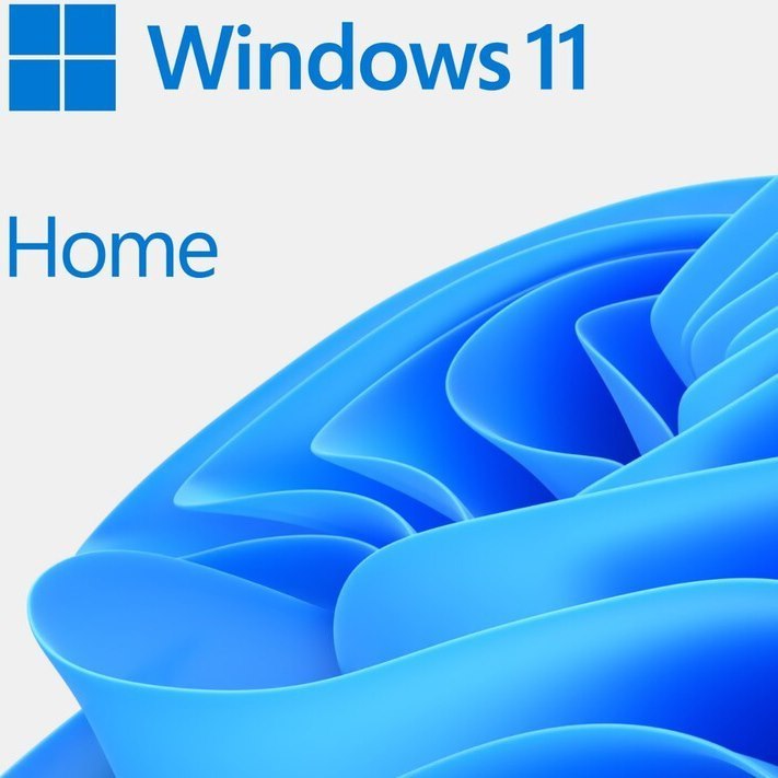 Microsoft Windows 11 Home Oem