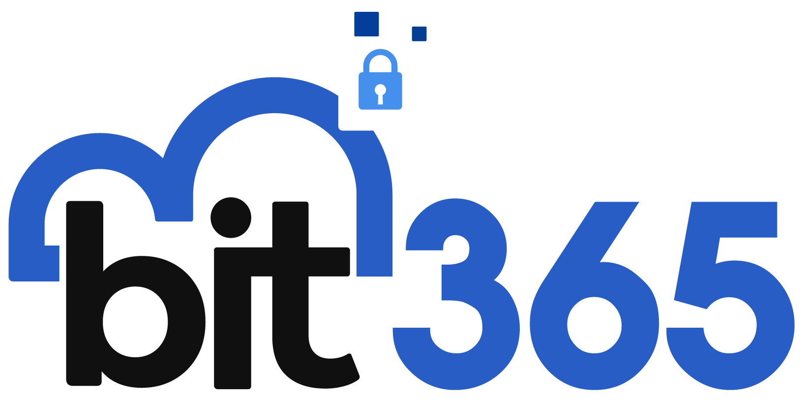 Business IT 365