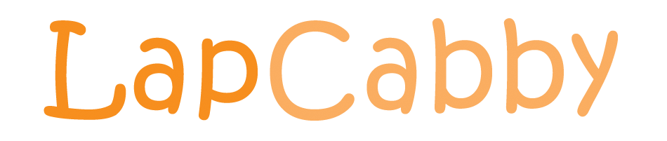 LapCabby Usb-C Moblie Charging Cabinet For VR Headsets, Single Door - Up To 20 VR Headsets - Horizontal