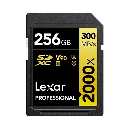Lexar Media LXR FLS SD-256GB-LSD2000256G-BNNNG