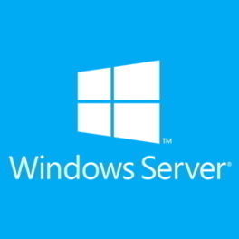 Windows Server 2022 Standard - 2 Core License Pack (Perpetual) [Commercial]