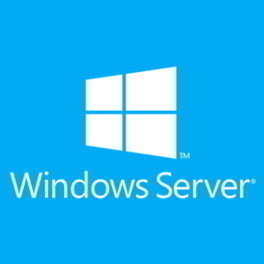Windows Server 2022 - 1 User CAL (Perpetual) [Commercial]