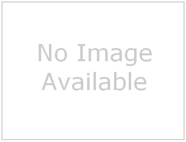 Oem Team 128GB Brown Usb 3.0 Thumb Drive