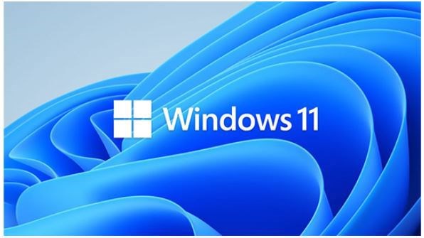 Microsoft Windows 11 Pro 64-bit for Workstations - License - 1 License