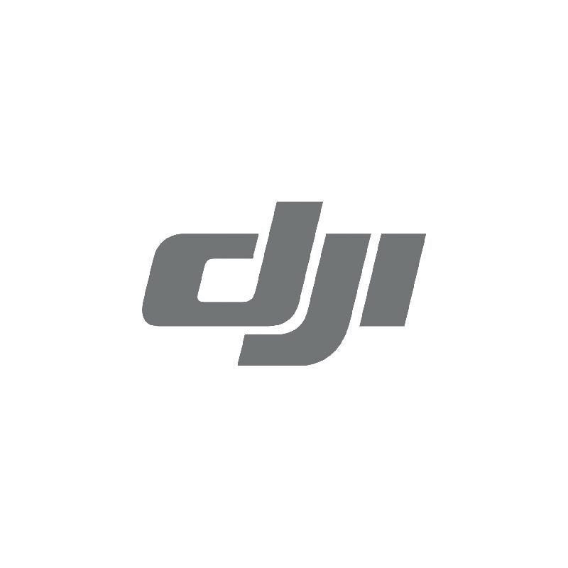 DJI Battery - Lithium Ion (Li-Ion)