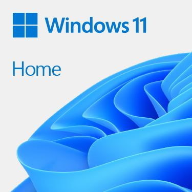 Microsoft Windows 11 Home 1 License[S] (MS SB Windows 11 Home 64Bit [FR] DVD)