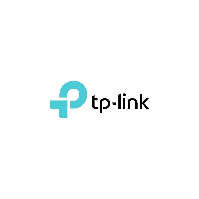 TP-Link Outdoor Security Wi-Fi Cam X2