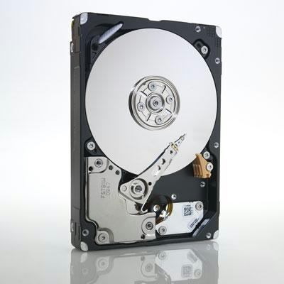 IBM 600 GB Hard Drive - 2.5" Internal - SAS (6Gb/s SAS)