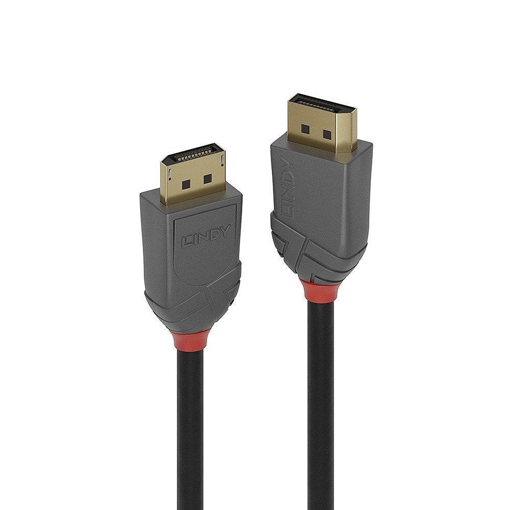 Lindy 0.5M DisplayPort 1.4 Cable Anthra Line (0.5M Displayport Cable Anthra Line)