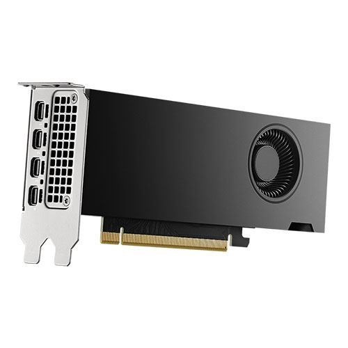 PNY NVIDIA RTX 2000 Ada Graphic Card - 16 GB GDDR6 - Low-profile