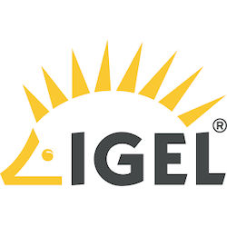 Igel Standard Plus 3YR 500-4999