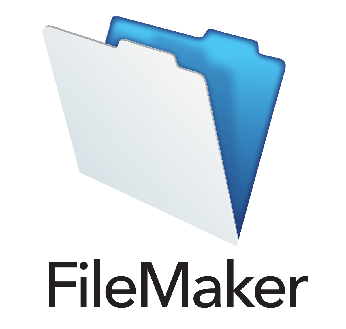 Filemaker 1YR FM 17 Lics Add Annual
