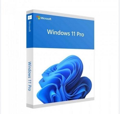 Microsoft Windows 11 Pro 64-bit - License - 1 License