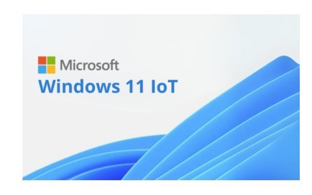 Microsoft Windows 11 Iot Enterprise Multi Language Olc - BY Order