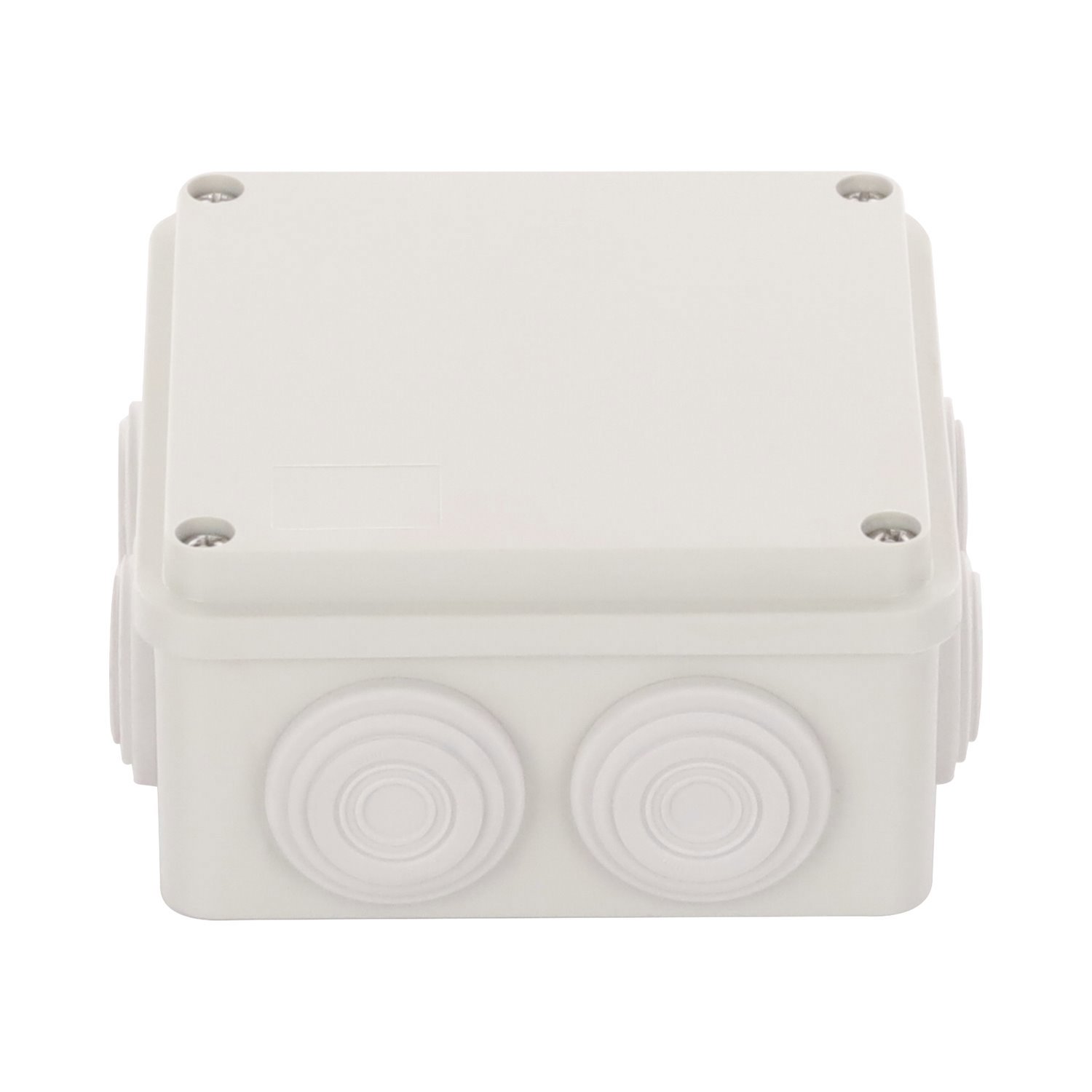 Precision Plastic Enclosure (3.93 X 3.93 X 2.12 In) With 6 Rubber Sealing