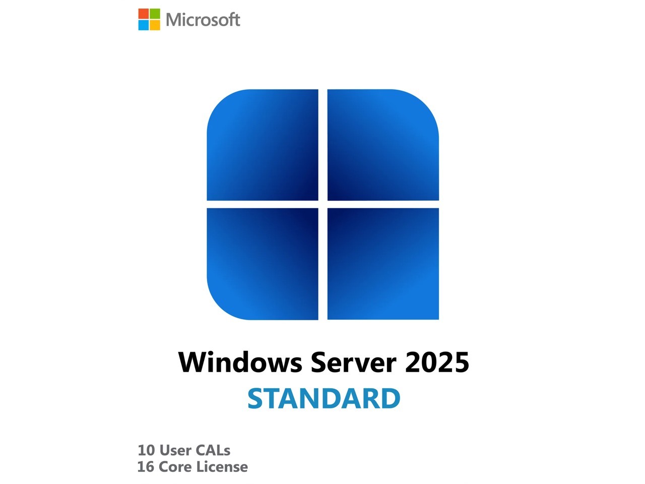 HPE Microsoft Windows Server 2025 - License To Use (LTU) - 10 User CAL