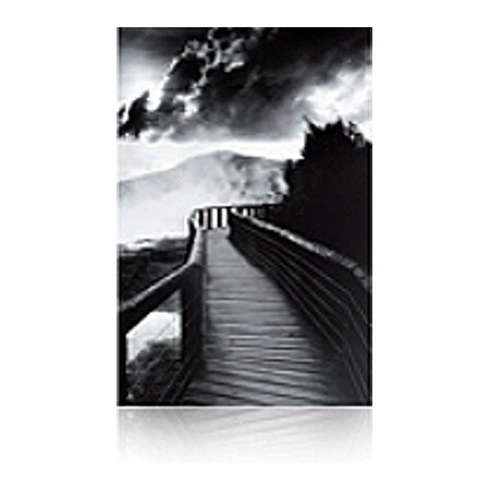 Epson Traditional C13S045050 Photo Paper