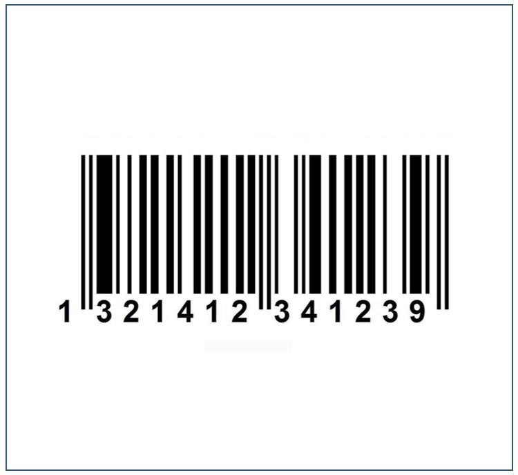 Leader Computer System Serial Number