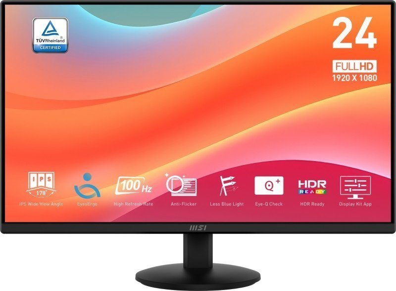 24" LED Monitor (No Speakers)