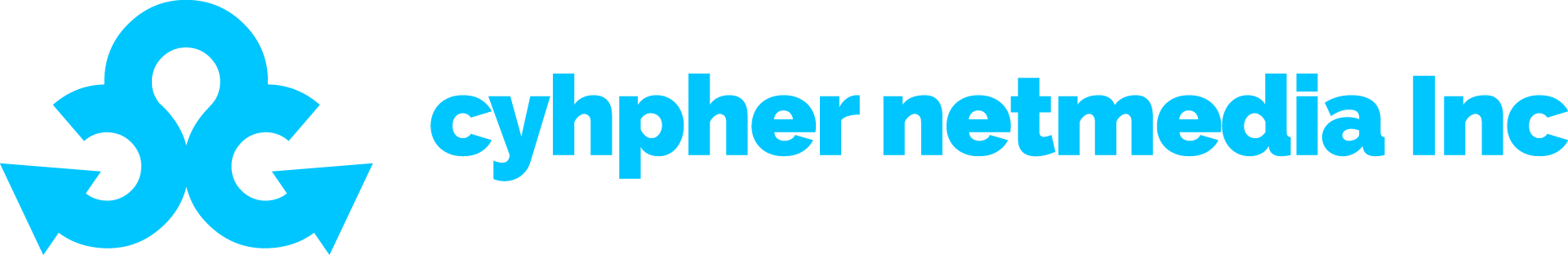 cyhpher netmedia Inc