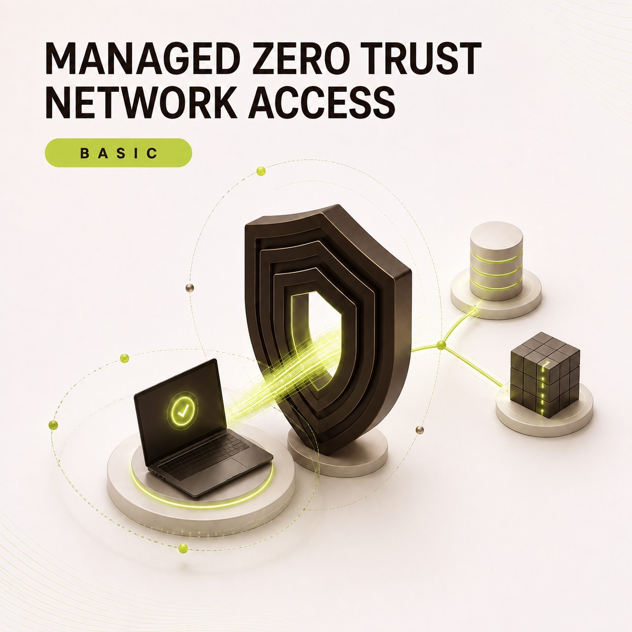 Managed Zero Trust Network Access [Basic]