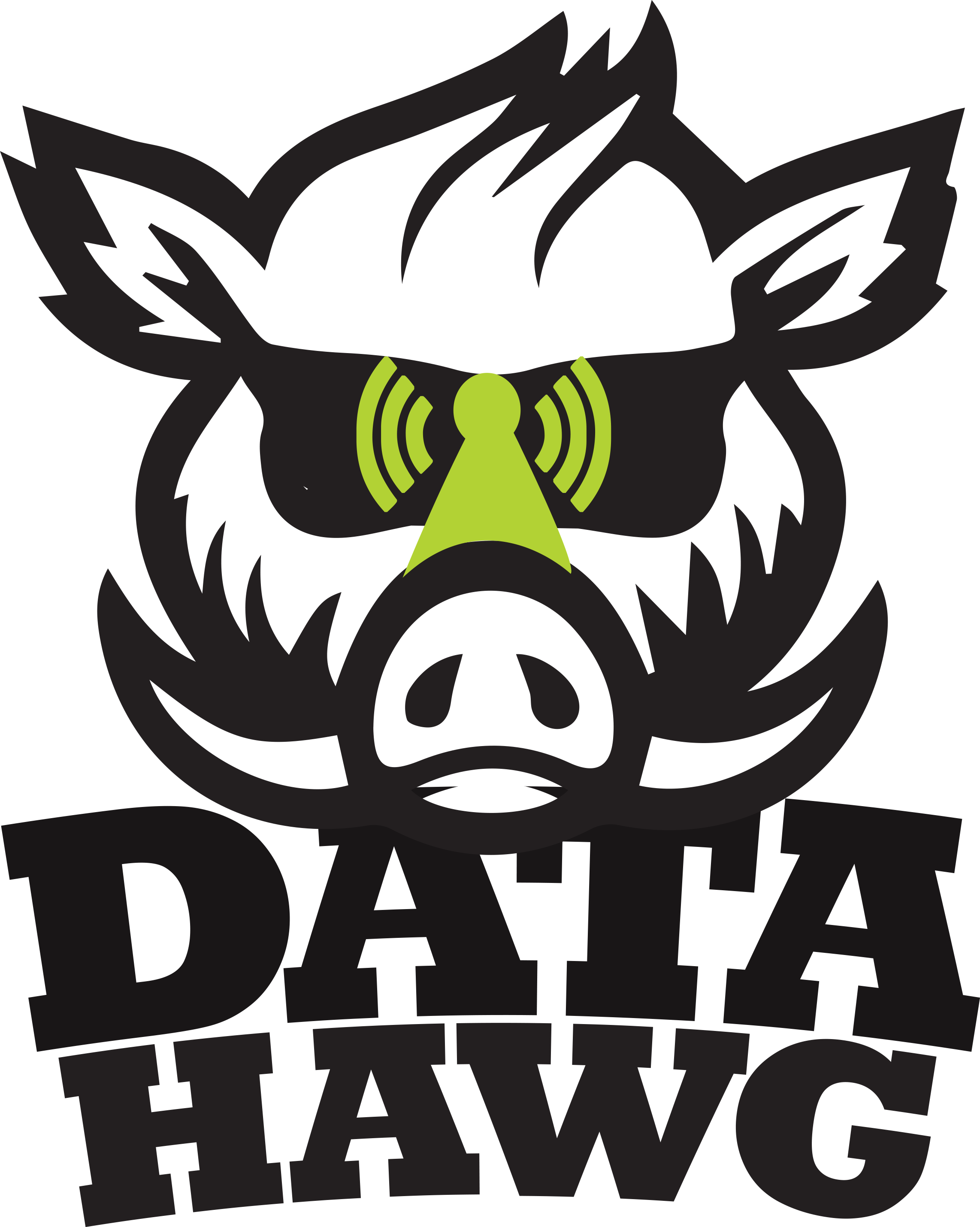 DataHawg, Inc.