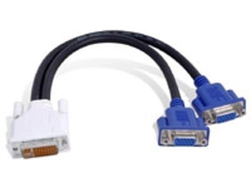 Matrox CAB-DVI-2XAF 30.48 cm Video Cable