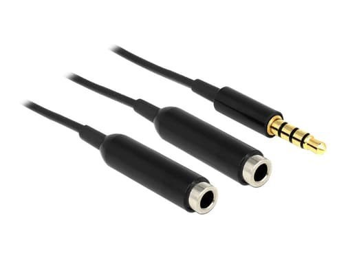 Delock 65575 Ljudkabel 0,25 M 3,5MM 2 X 3.5MM Svart 0.25M 3,5MM 2 X 3,5MM