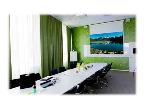 Draper Euroscreen Diplomat Electric Smart Motor 1:1