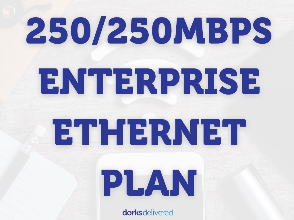 [Managed Network] 250/250Mbps Enterprise Ethernet Plan