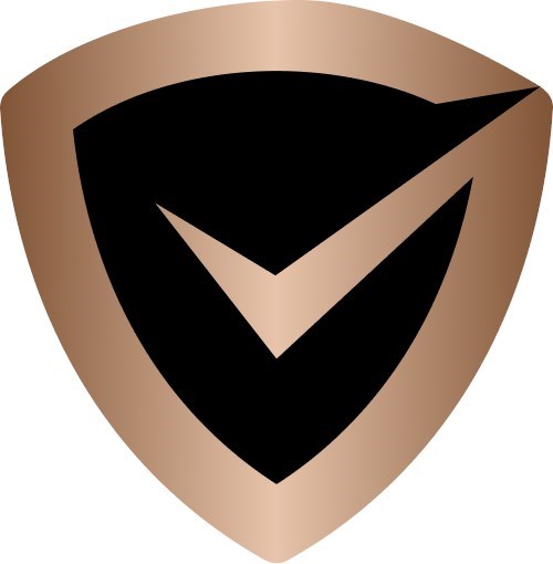 DSP It Solutions CyberCert SMB1001 Bronze Certification - 1 Year