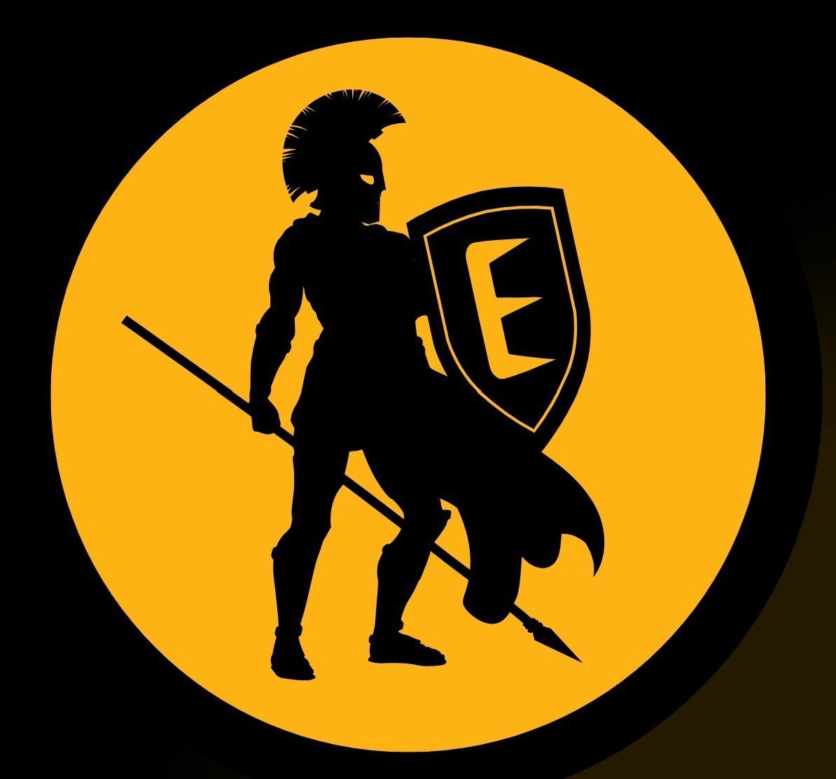 EGiS Computer delivery and setup