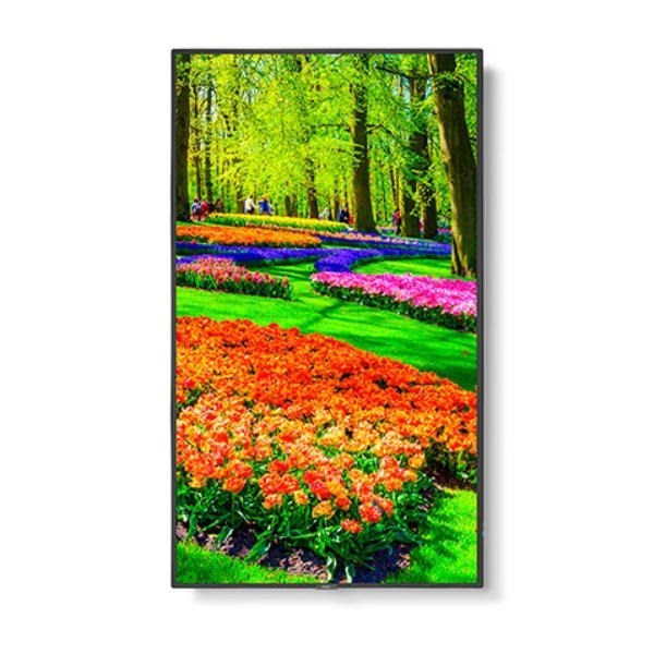 Sharp M-Series M431 43" Professional Display, 4K Uhd, 500-CD/M2 Brightness, Ips, 28% Haze Non-Glare, 300X300 Vesa, 24/7 3Yr Warranty