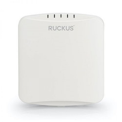 Ruckus Ruk Lan 901-R350-WW02
