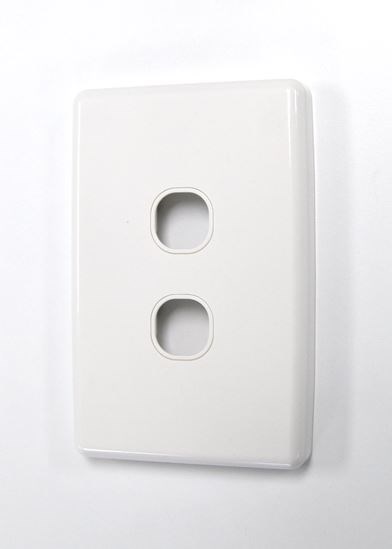 Amdex FP-2PV3 Dual Port Face Plate