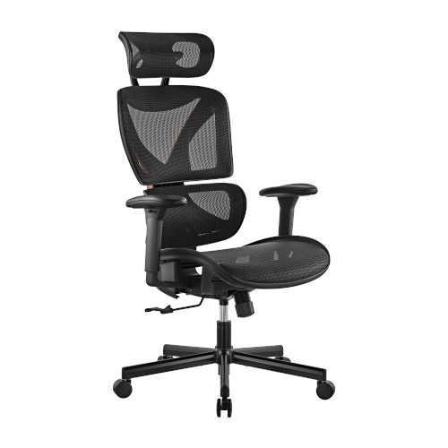 Brateck CH05-31 SpineX Ergonomic Office Chair With Posture Enhancement. Human Engineering Curved Design Breathable Mesh Back Height Adjustable Armrests Non-Marking Casters Adjustable Headrest.