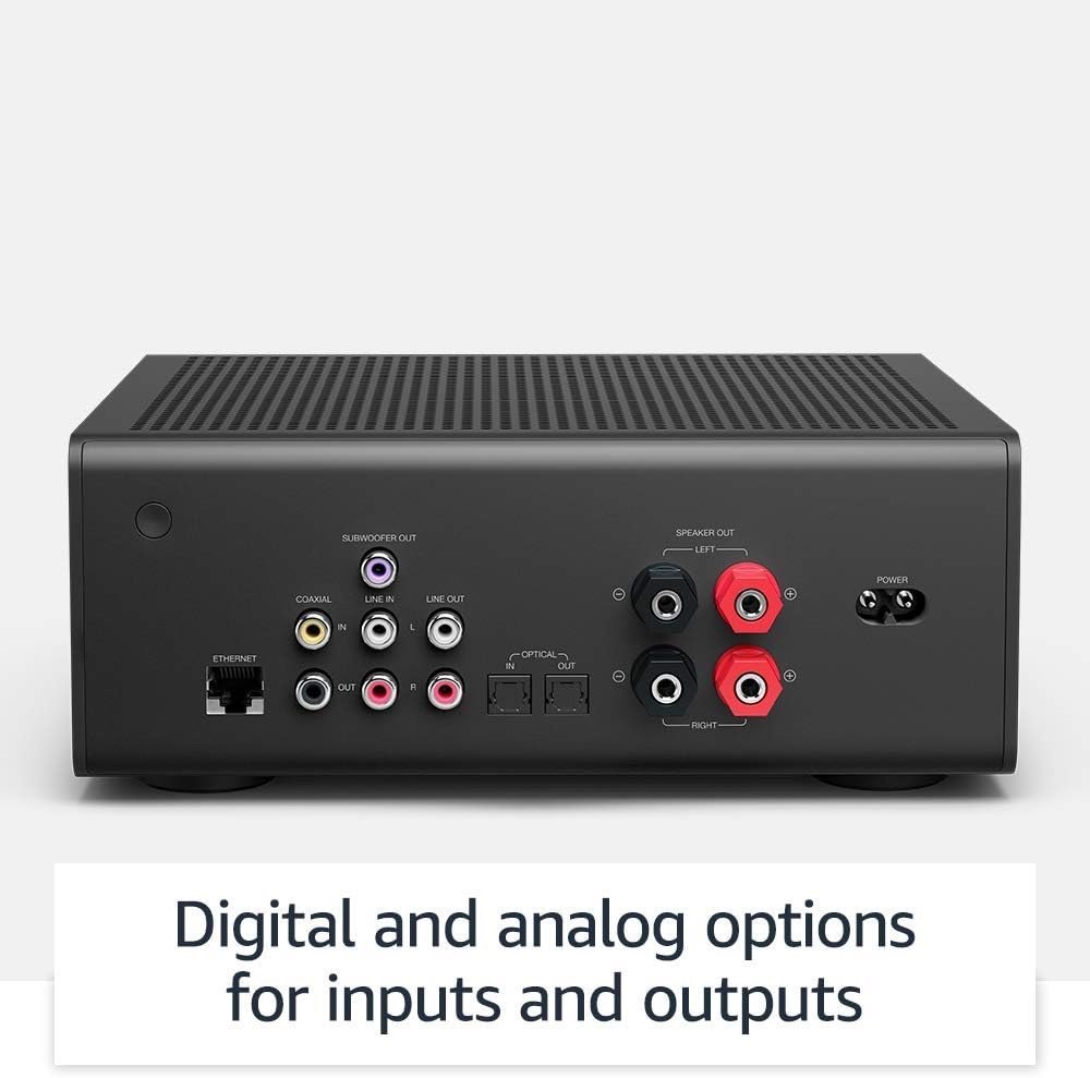 Echo Link Amp