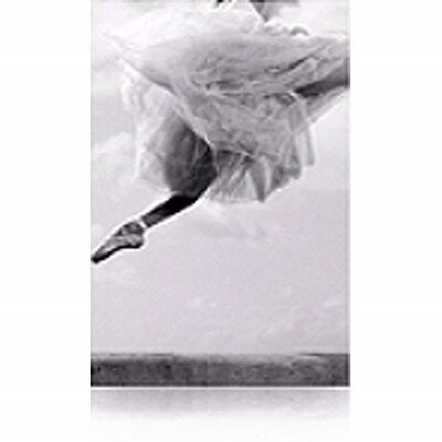 Epson Somerset C13S041637 Inkjet Fine Art Paper
