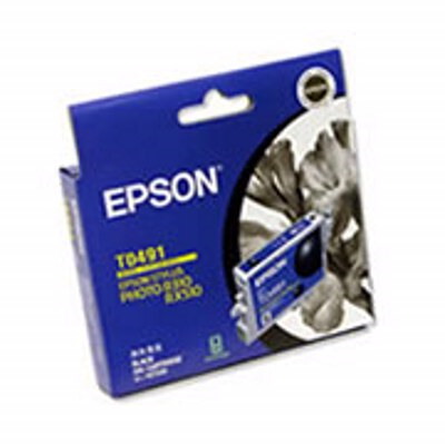 Epson T0491 Original Inkjet Ink Cartridge - Black Pack