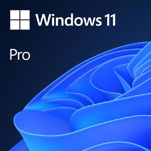 Microsoft Windows 11 Pro 64-bit - License - 1 License