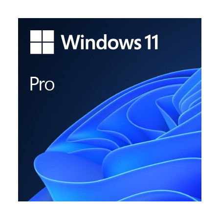 Microsoft Windows 11 Pro 64-bit - License - 1 License
